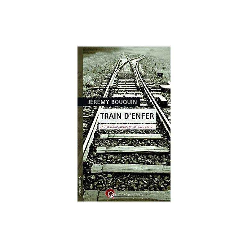 Train d'enfer: Le TER Tours-Blois ne répond plus