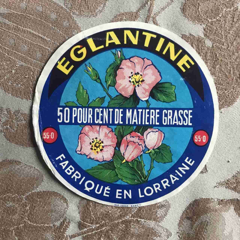 Eglantine 55-O