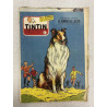 Le Journal de Tintin N° 441