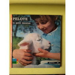 Pelote le petite mouton