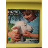 Pelote le petite mouton
