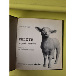 Pelote le petite mouton