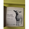 Pelote le petite mouton