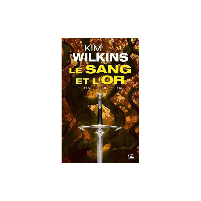 Le Sang et l'Or T1 : Les Filles de l'orage