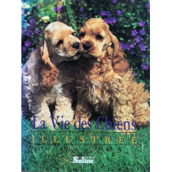 Vie des chiens