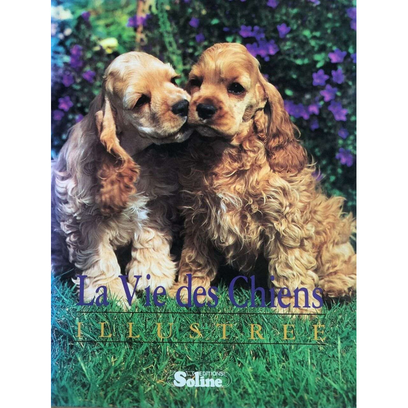 Vie des chiens