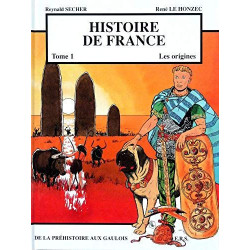 Histoire de France T1 Les origines - De la Préhistoire aux Gaulois