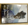 DVD Film - Des larmes de grâce