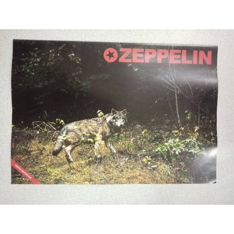 Revue Zeppelin - 500 loups