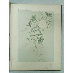 A Mademoiselle Madeleine