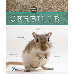 Gerbille
