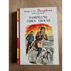Pampelune chien trouvé