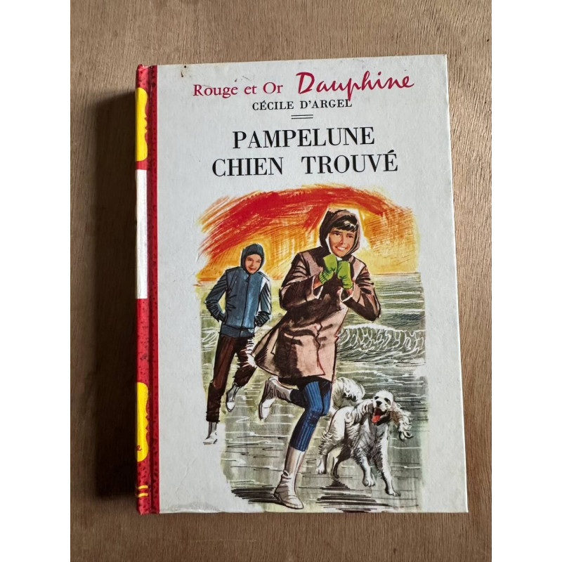 Pampelune chien trouvé
