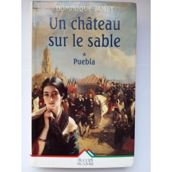 Un chateau sur le sable