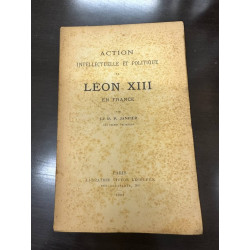 Action intellectuelle et politique de Léon XIII en france