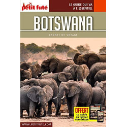 A History of American Political Theories (Large Text Classic Reprint)