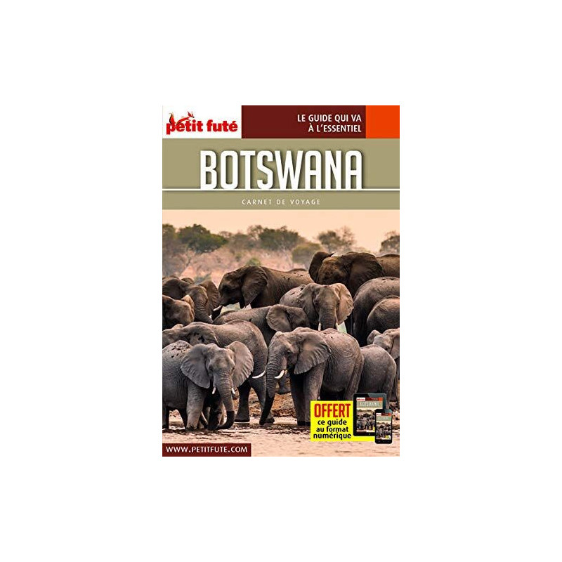 A History of American Political Theories (Large Text Classic Reprint)