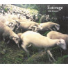 Estivage