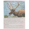 Le sentier des caribous