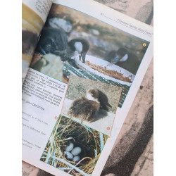 Aviornis international 1999 nº 147