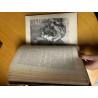 L'Illustration Romans 1899 - 1900