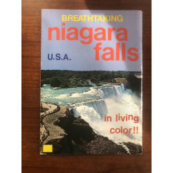 Breathtaking Niagara Falls Canada / USA in Living Colour