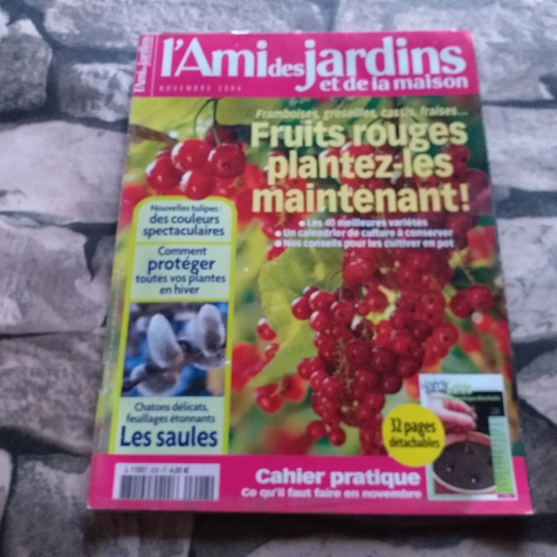 L'Ami des jardins et de la maison - Fruits rouges plantez-les...
