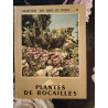 Plantes de roicalles