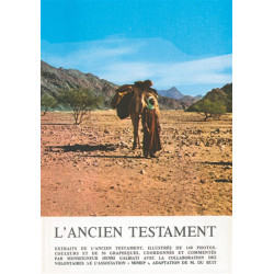 L'Ancien Testament: Histoire des hommes que Dieu sauve