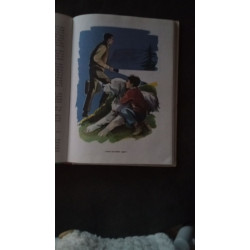 Belle et Sébastien