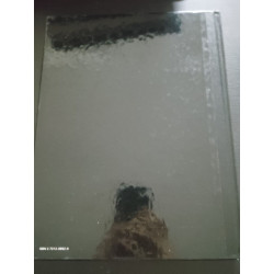 L'age d'or des Pyramides