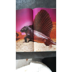 Les animaux prehistoriques l extraordinaire histoire de la vie...