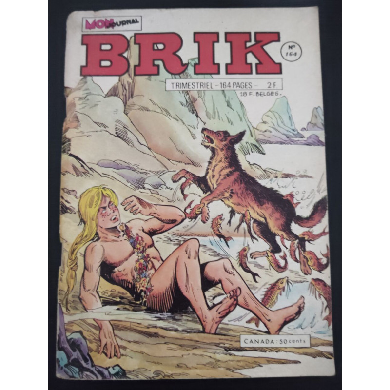 Brik n°164