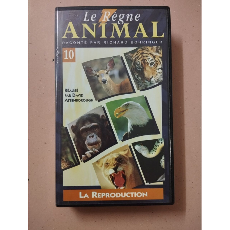 Le régne animal tome 17
