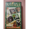 Le régne animal tome 17