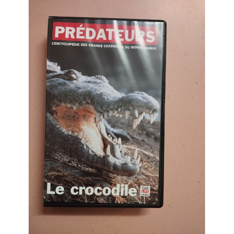 Prédateurs : le crocodile