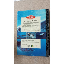 À la poursuite du requin