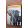National geographic - le langage des géants d'etosha