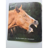 Le carnet de Pirouette nº 89 - Avril 2011