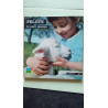 Pelote le petit mouton