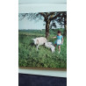 Pelote le petit mouton