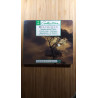 Beethoven sonates pour piano vol. 3