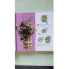 Petites creations: et recreations 4-8 ans