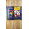 Concerto For Violin et Orchestra