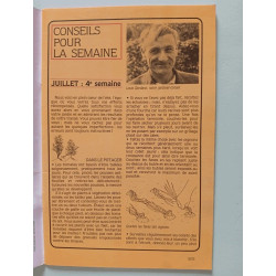 Guide Du Potager N° 19