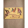 Petit Guide Des Oiseaux De France
