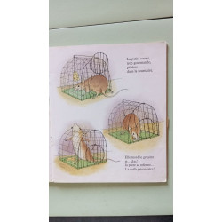 Histoire de la souris du chat roux et du petit garçon