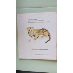 Histoire de la souris du chat roux et du petit garçon