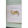 Histoire de la souris du chat roux et du petit garçon