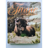 Faune d'amerique